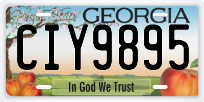 GA license plate CIY9895