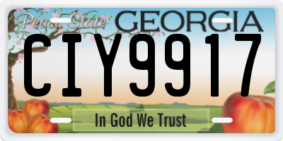 GA license plate CIY9917