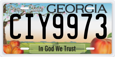 GA license plate CIY9973