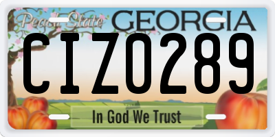GA license plate CIZ0289