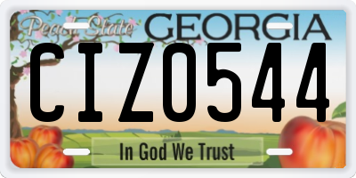 GA license plate CIZ0544