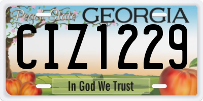 GA license plate CIZ1229
