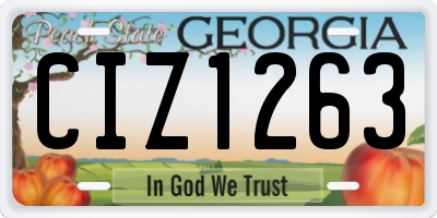 GA license plate CIZ1263