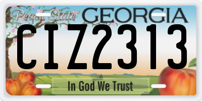 GA license plate CIZ2313