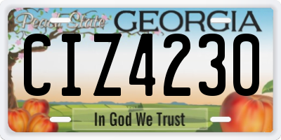 GA license plate CIZ4230