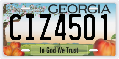 GA license plate CIZ4501