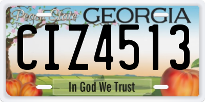 GA license plate CIZ4513