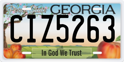 GA license plate CIZ5263