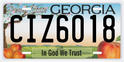 GA license plate CIZ6018