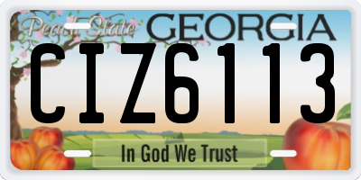 GA license plate CIZ6113