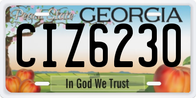 GA license plate CIZ6230