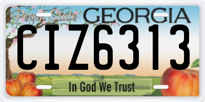 GA license plate CIZ6313