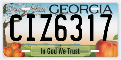 GA license plate CIZ6317