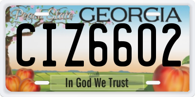 GA license plate CIZ6602