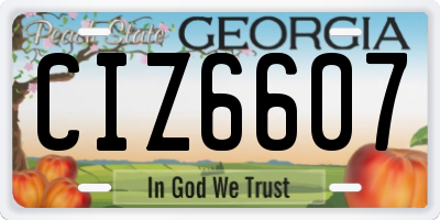 GA license plate CIZ6607