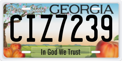 GA license plate CIZ7239