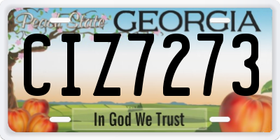 GA license plate CIZ7273