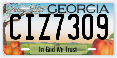 GA license plate CIZ7309