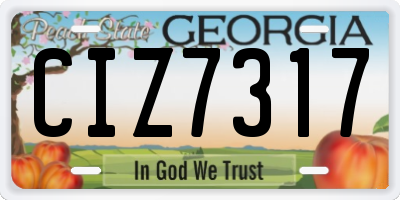 GA license plate CIZ7317