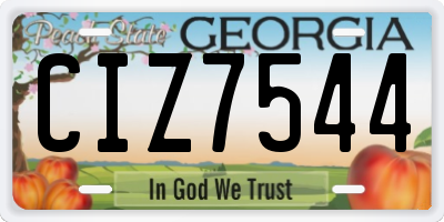 GA license plate CIZ7544