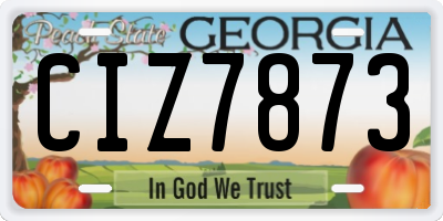 GA license plate CIZ7873