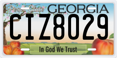 GA license plate CIZ8029