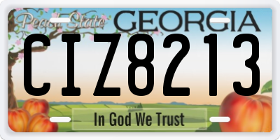 GA license plate CIZ8213