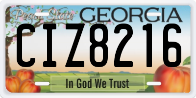 GA license plate CIZ8216