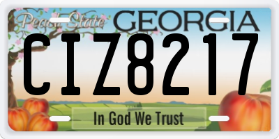 GA license plate CIZ8217