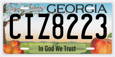 GA license plate CIZ8223