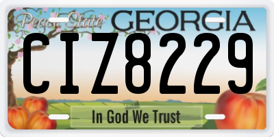 GA license plate CIZ8229