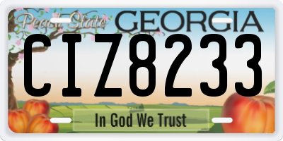 GA license plate CIZ8233