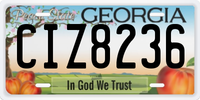 GA license plate CIZ8236