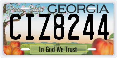 GA license plate CIZ8244