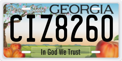 GA license plate CIZ8260