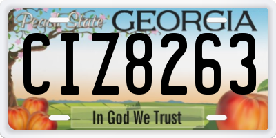 GA license plate CIZ8263