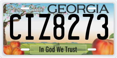GA license plate CIZ8273