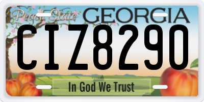 GA license plate CIZ8290