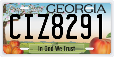 GA license plate CIZ8291