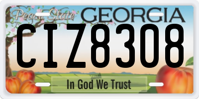 GA license plate CIZ8308