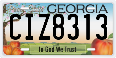 GA license plate CIZ8313