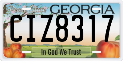 GA license plate CIZ8317