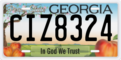 GA license plate CIZ8324
