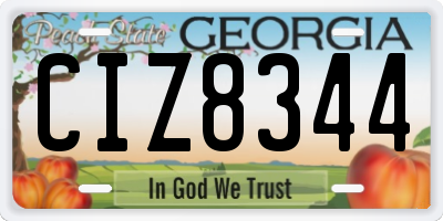 GA license plate CIZ8344