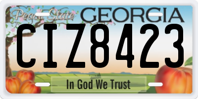 GA license plate CIZ8423