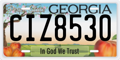 GA license plate CIZ8530
