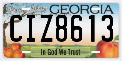 GA license plate CIZ8613