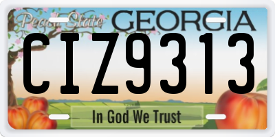 GA license plate CIZ9313