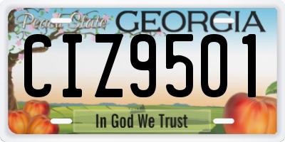 GA license plate CIZ9501