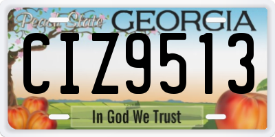 GA license plate CIZ9513
